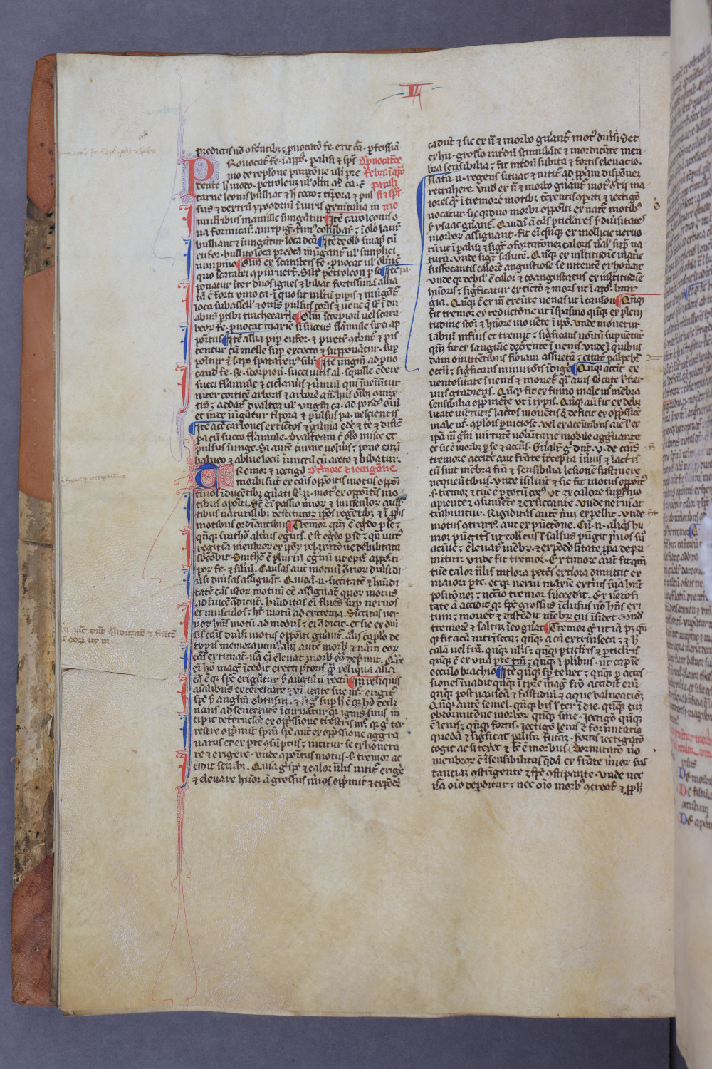 Folio 56 verso
